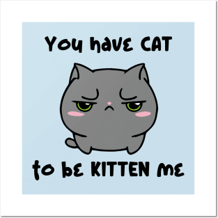 You Have Cat To Be Kitten Me Posters and Art